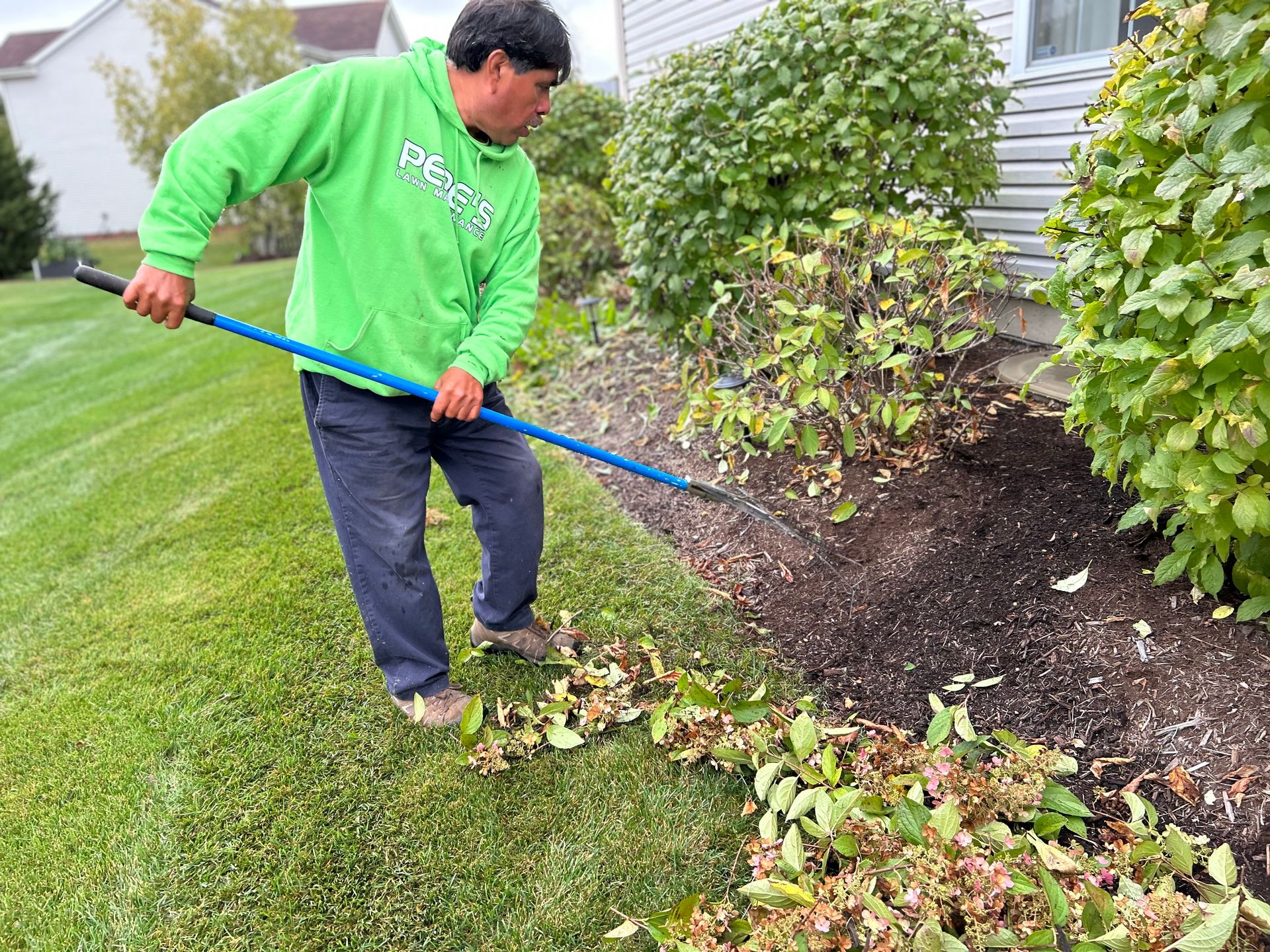 Person raking leaves beside a house, clearing a garden bed and lawn edge.