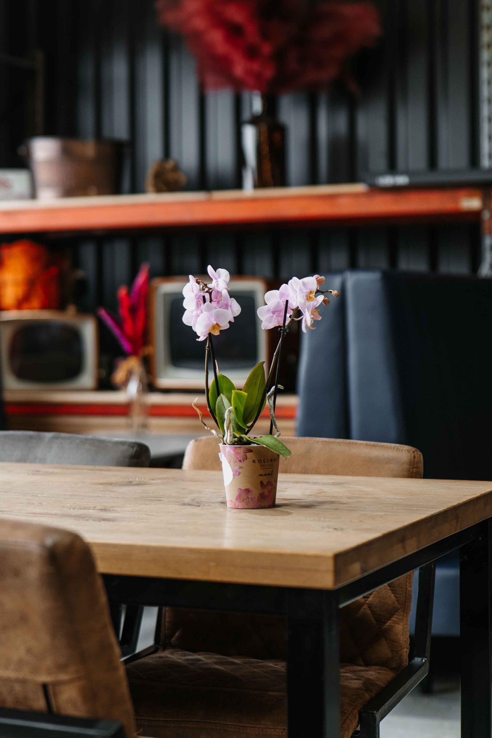 Een lichtroze orchidee in een pot staat op een houten eettafel in een kamer met zwarte muren in industriële stijl en retro-decoratie.