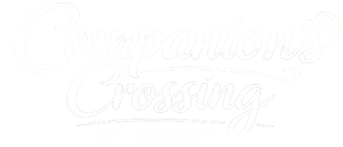 Faint white cursive text reading &ldquo;Crossing&rdquo; on a nearly white background