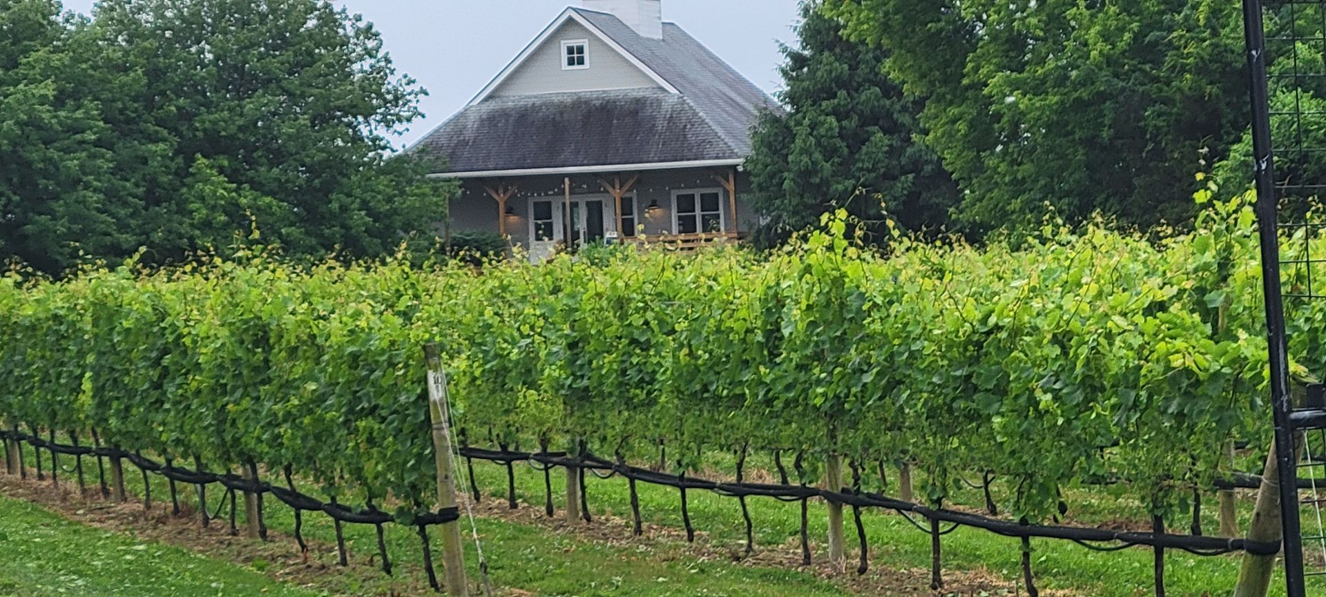 One of East End Wine Tasting Tours' favorite - Corey Creek Vineyard Front View
