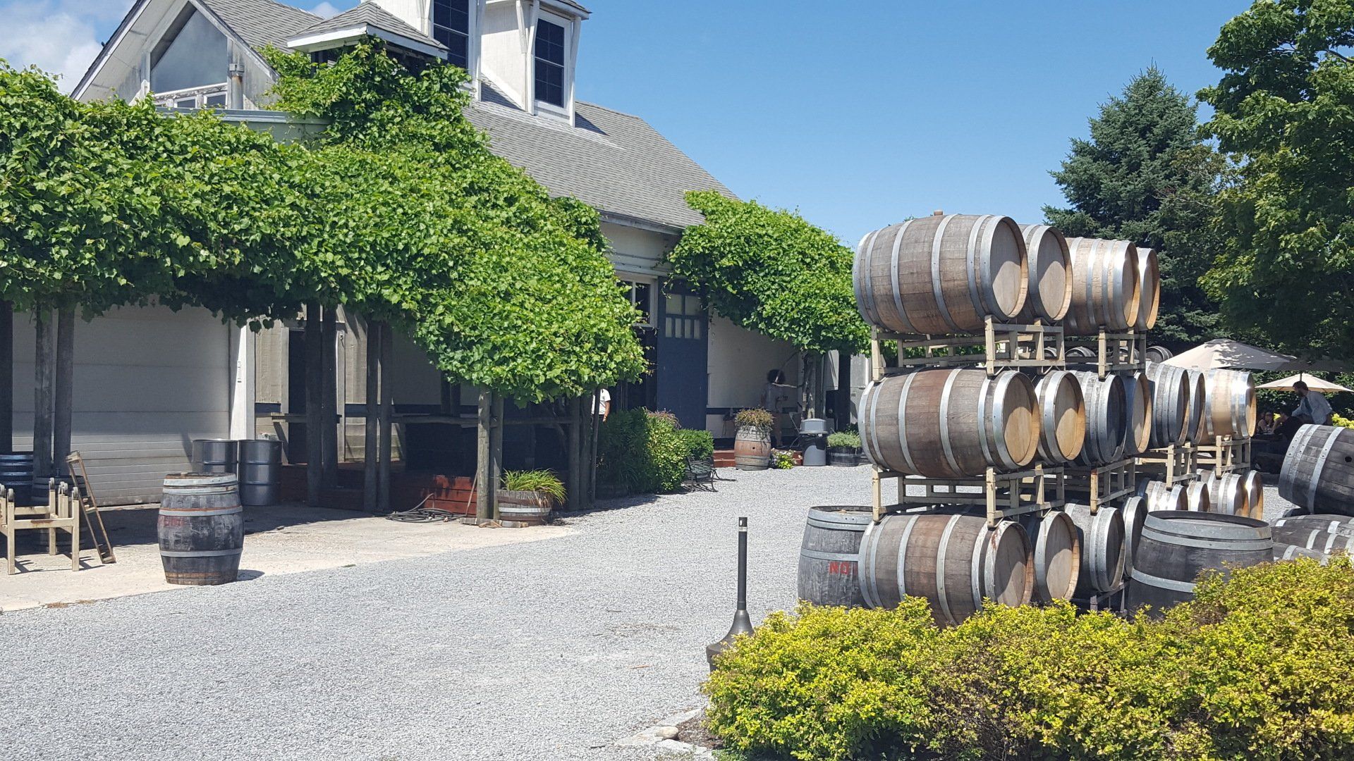 Wine Barrels at Rustic Courtyard Setting at Lenz Vineyard on Long Island