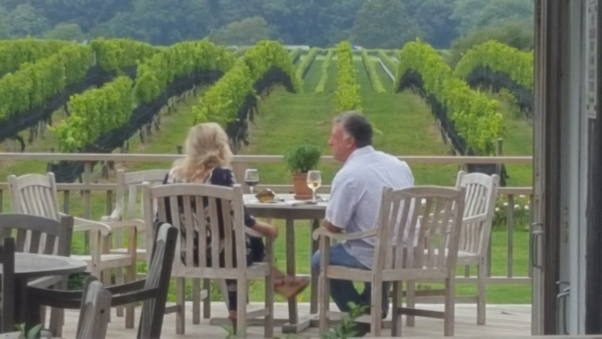 East End Wine Tasting Tour's Premium Boutique Winery - Paumanok
