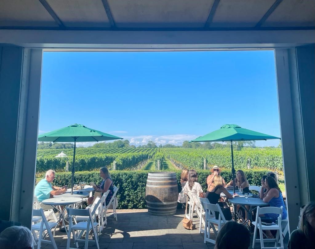 Pellegrini Vineyard Rear Patio overlooking the Vines