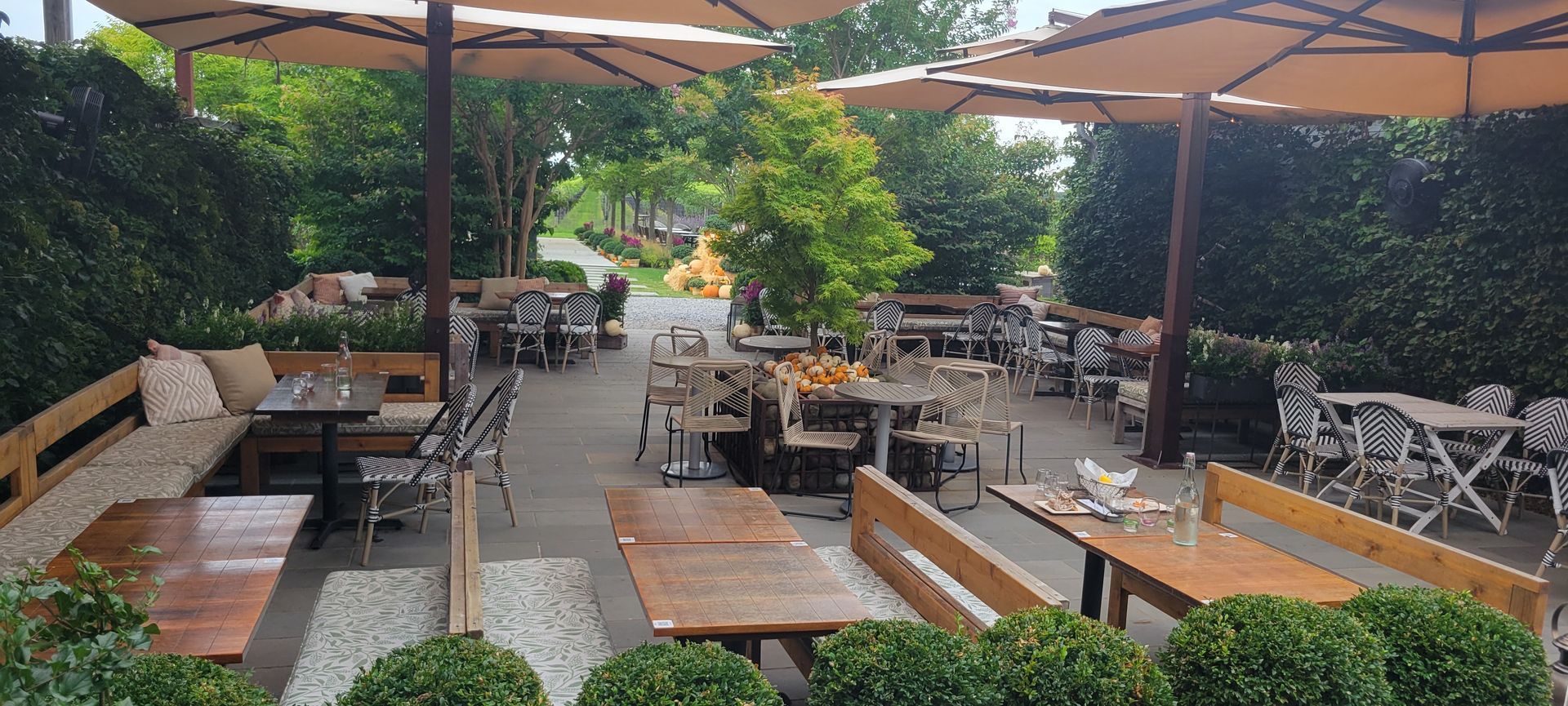 Rose Hill Vineyard- Rear Patio covered with umbrellas, lush greens and comfortable outdoor area