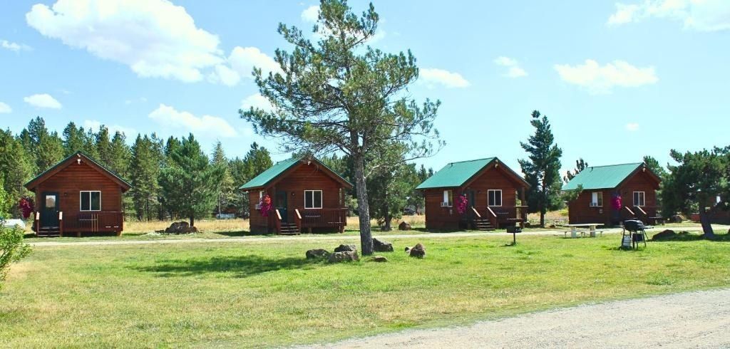 Several wooden cabins with green roofs in a grassy field with trees in the background under a blue sky.