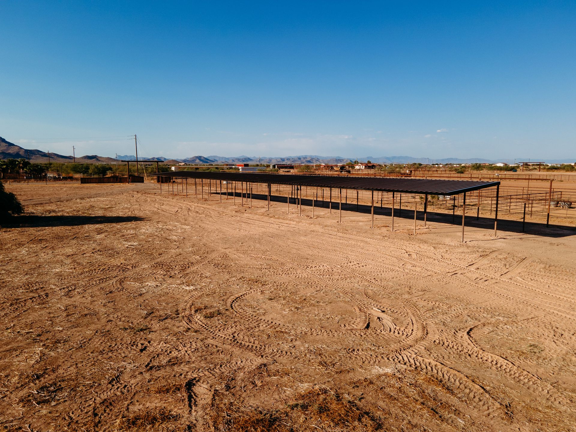 Horse Photos in Wickenburg Equine Photos Wickenburg