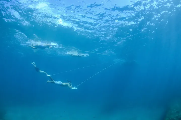 Algumas pessoas estão nadando no oceano.