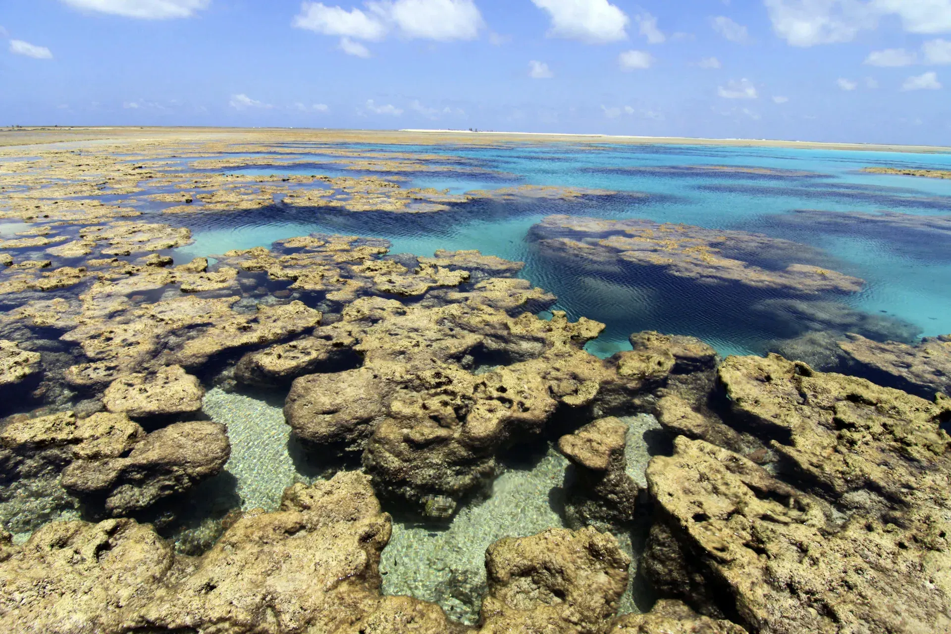 Atol das Rocas