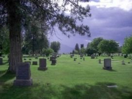 Grassy cemetery with scattered headstones under cloudy purple sky and a large tree in the foreground