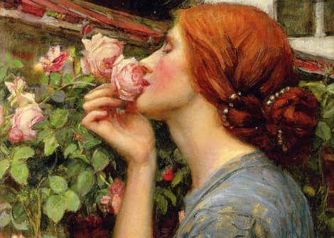 corso rose roma