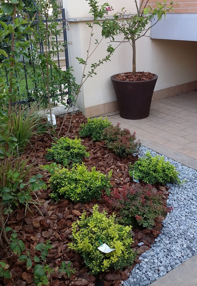 realizzazione giardini