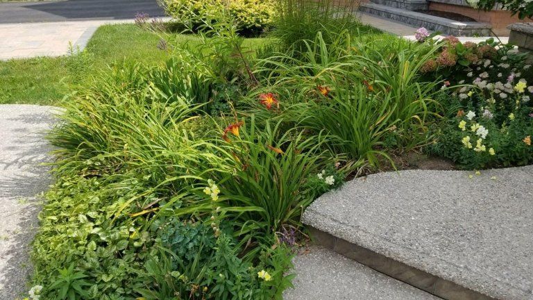 progettazione giardini