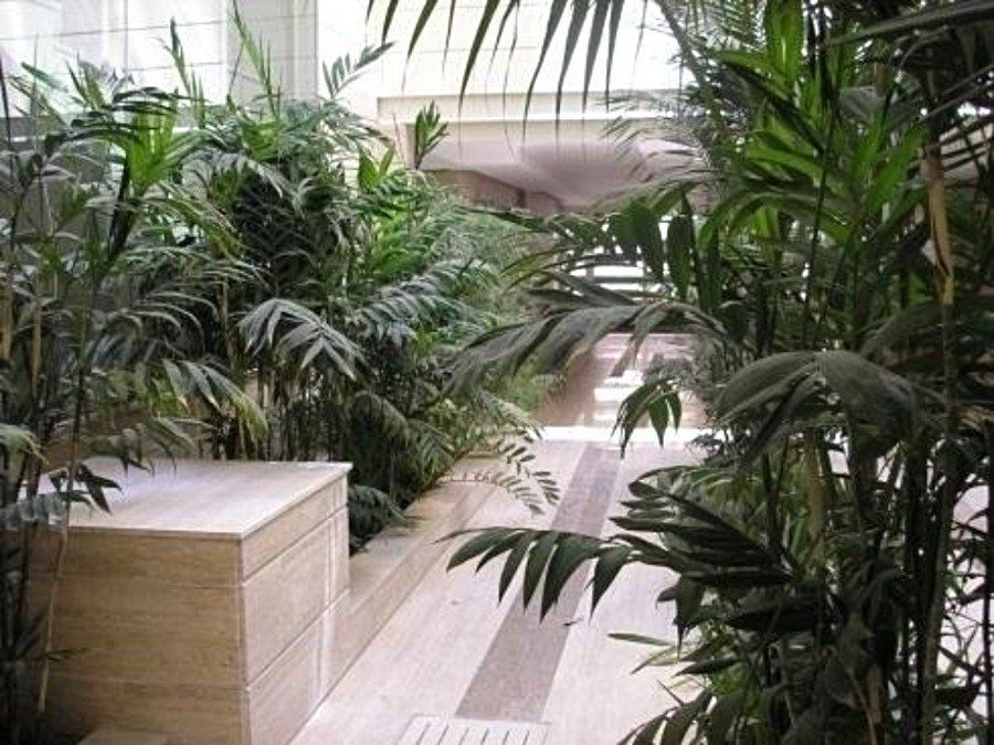 realizzazione giarrdni