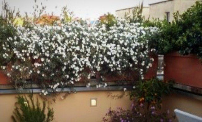 realizzazione terrazzi 