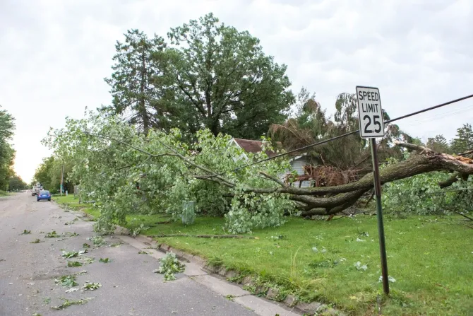 Storm-damaged street with fallen tree branches blocking the road and a 25 mph speed limit sign