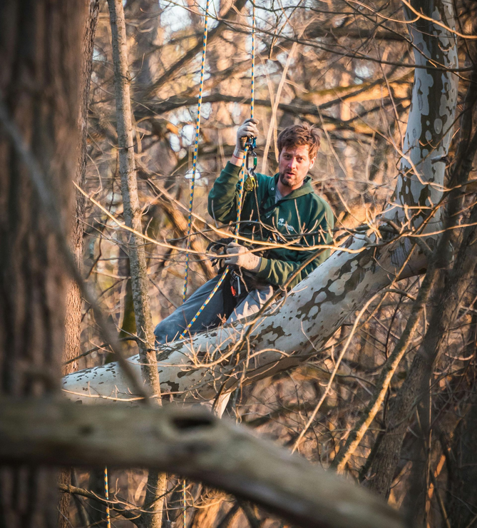 Person in a green jacket sitting among tree branches in a wooded area