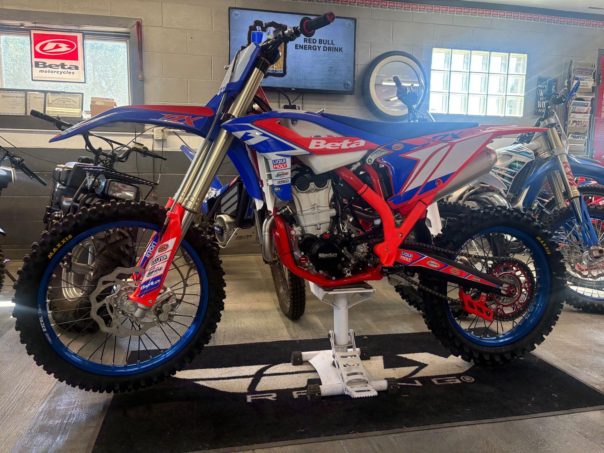Red and blue dirt bike displayed in a garage on a stand