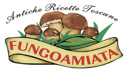 FUNGOAMIATA-LOGO