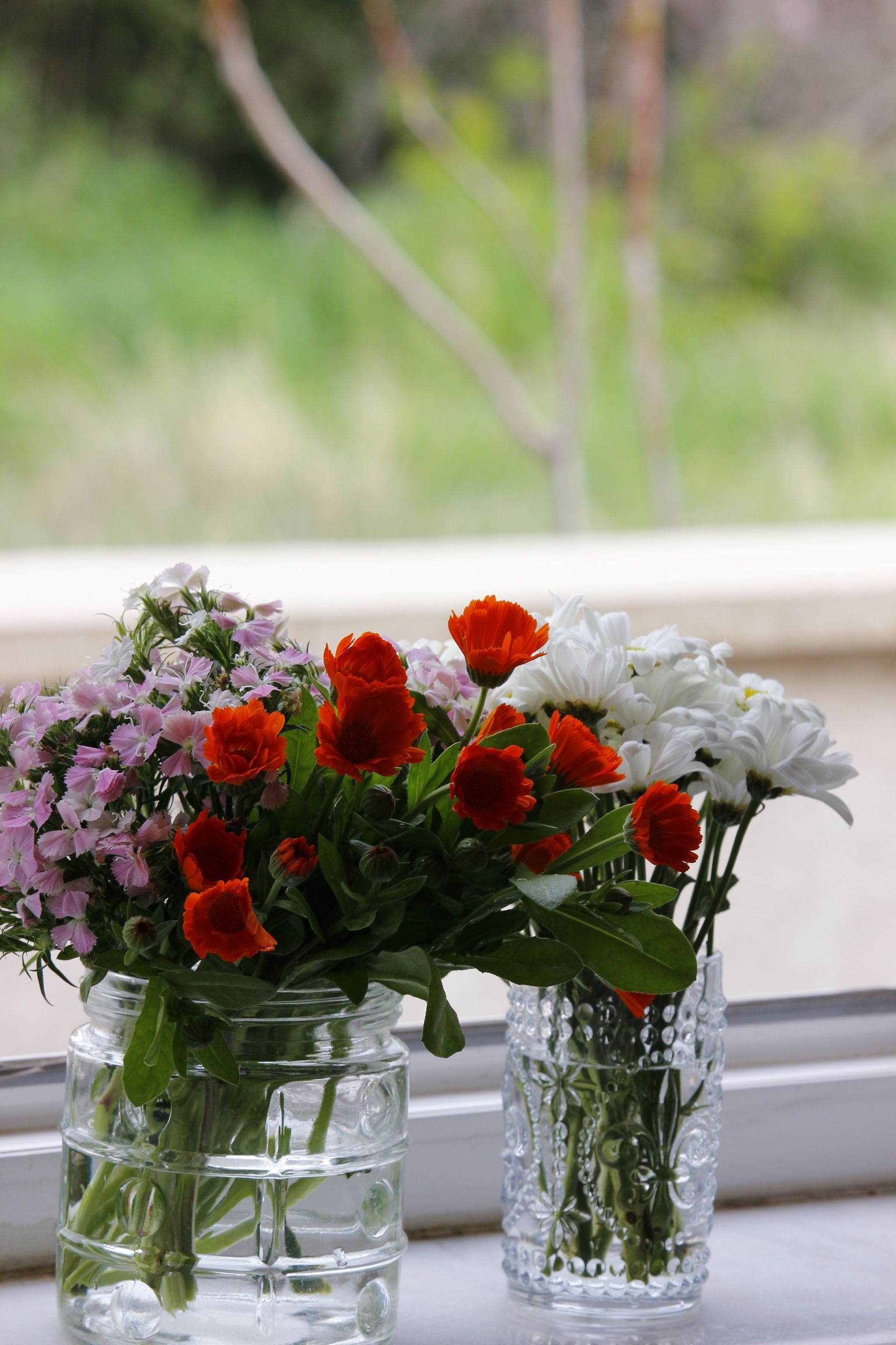 Red and white flowers in glass vases on a windowsill with a blurred green background
