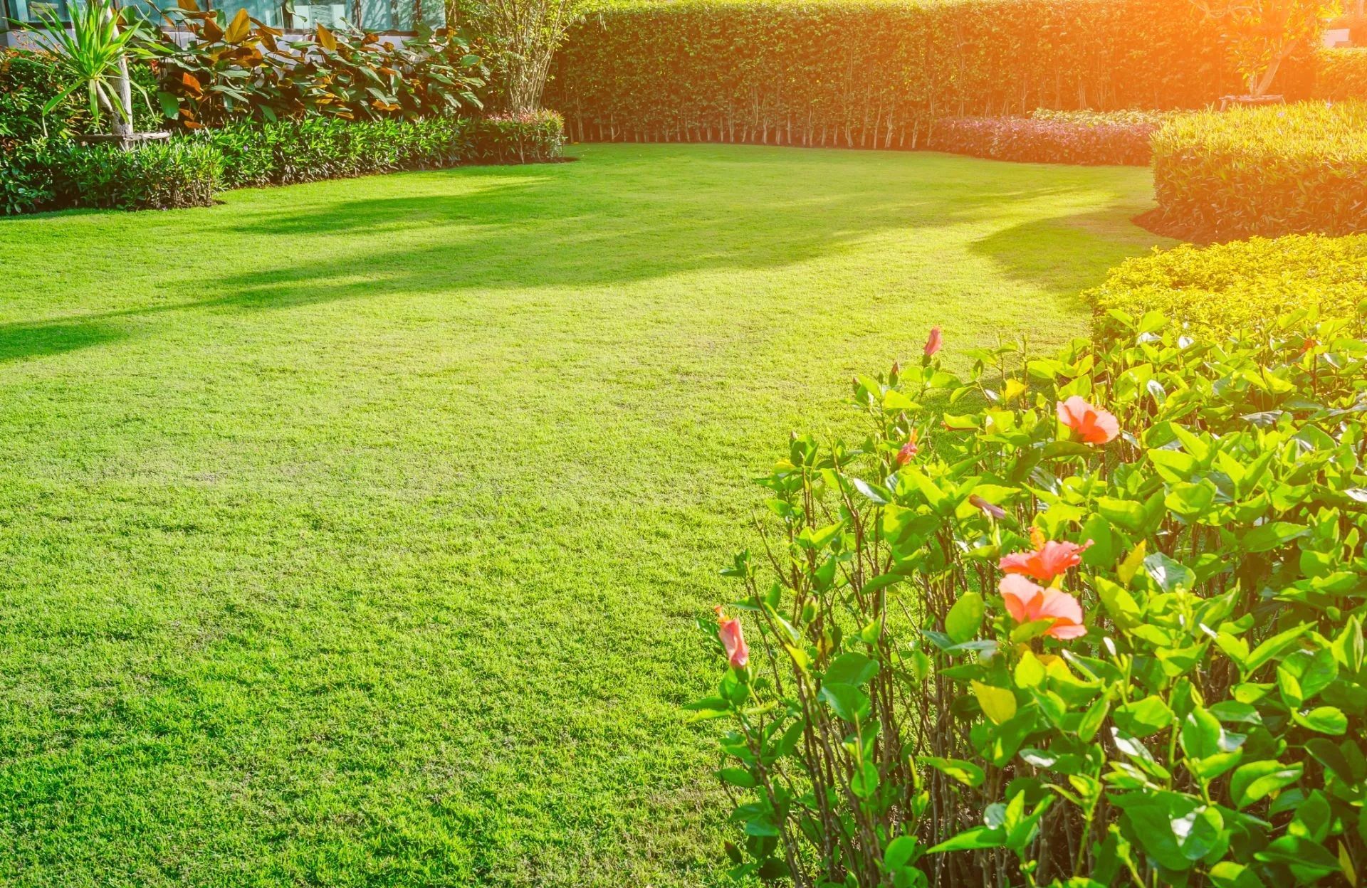 giardinaggio e manutenzione del verde