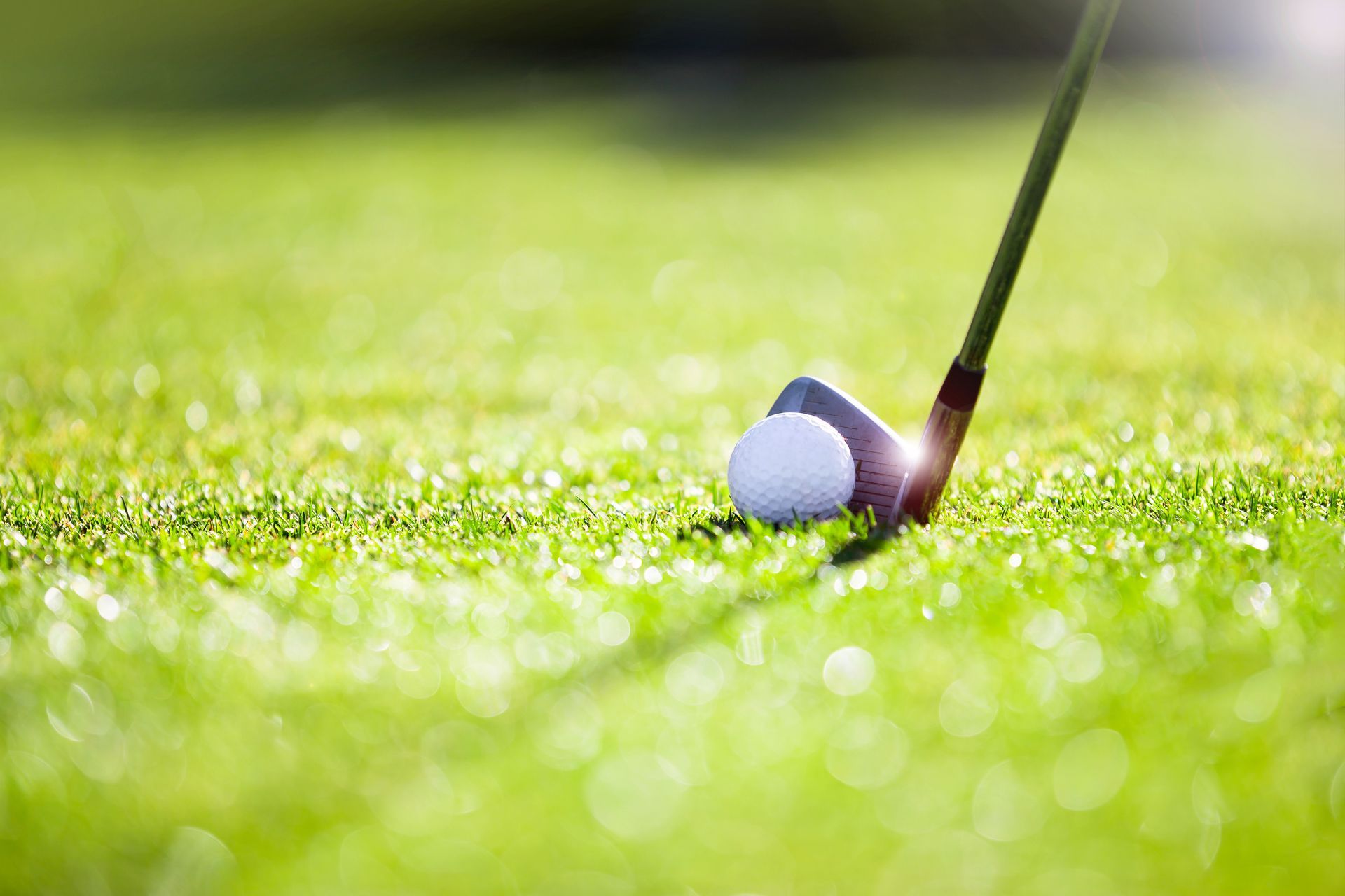 Golf club hitting a white golf ball on a green, sunny grass.