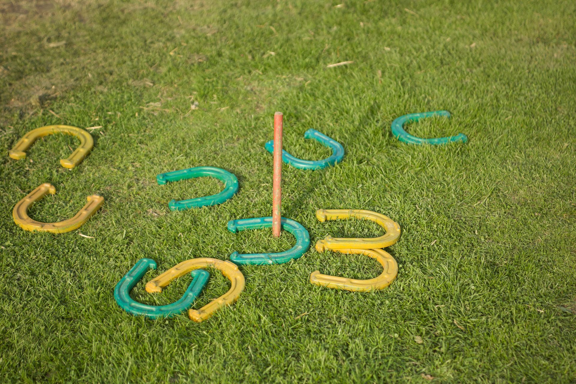 A bunch of horseshoes are sitting on top of a lush green field.