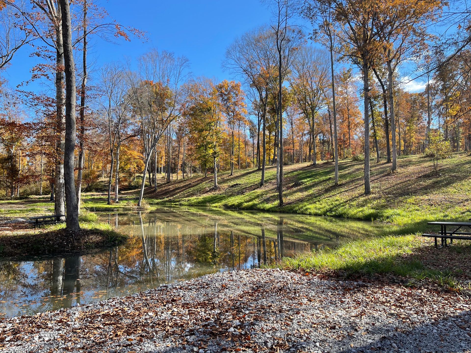 Early Autumn at camp f
