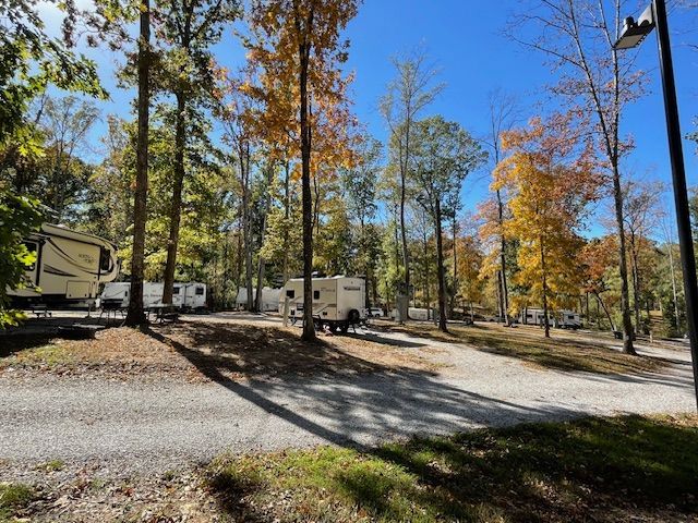 Campground with RVs parked among trees with autumn foliage, gravel road.