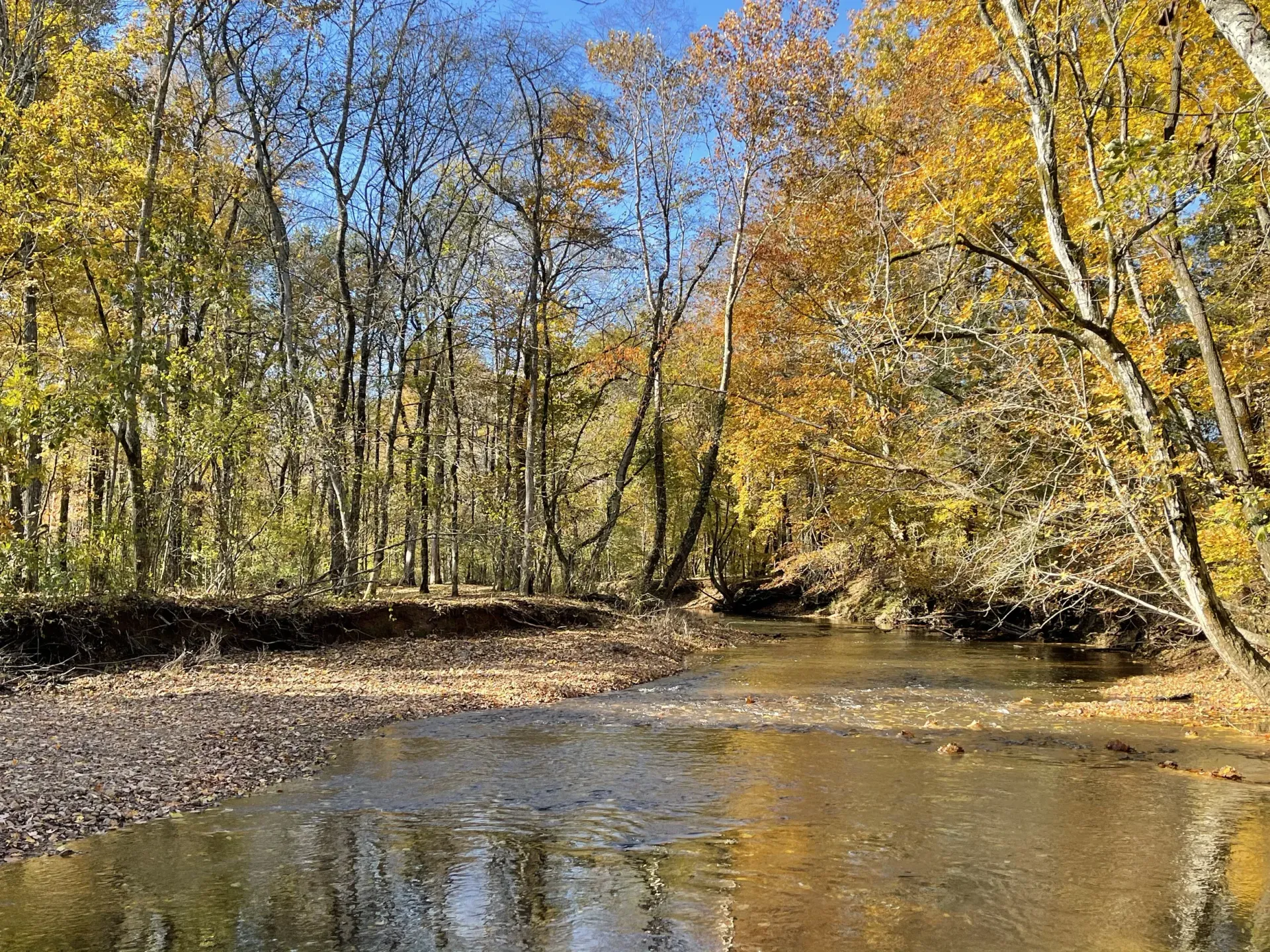 Creek side Red Coach Resort