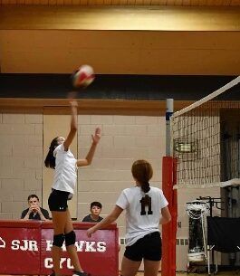 volleyball