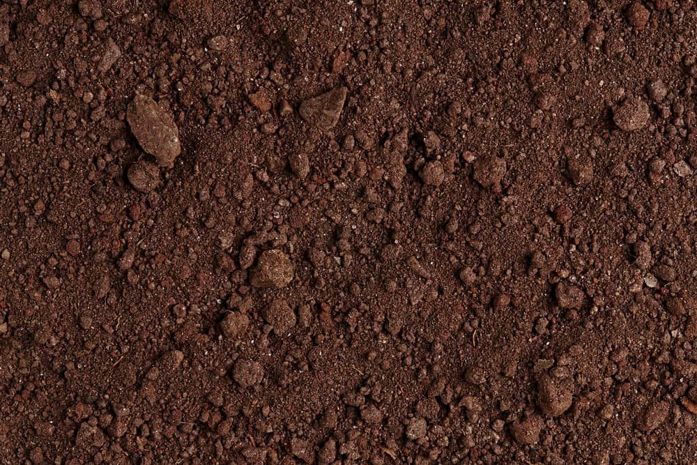 Dark Brown Soil, Close-up View — Coastal Sand Soil & Mulch in Point Vernon, QLD