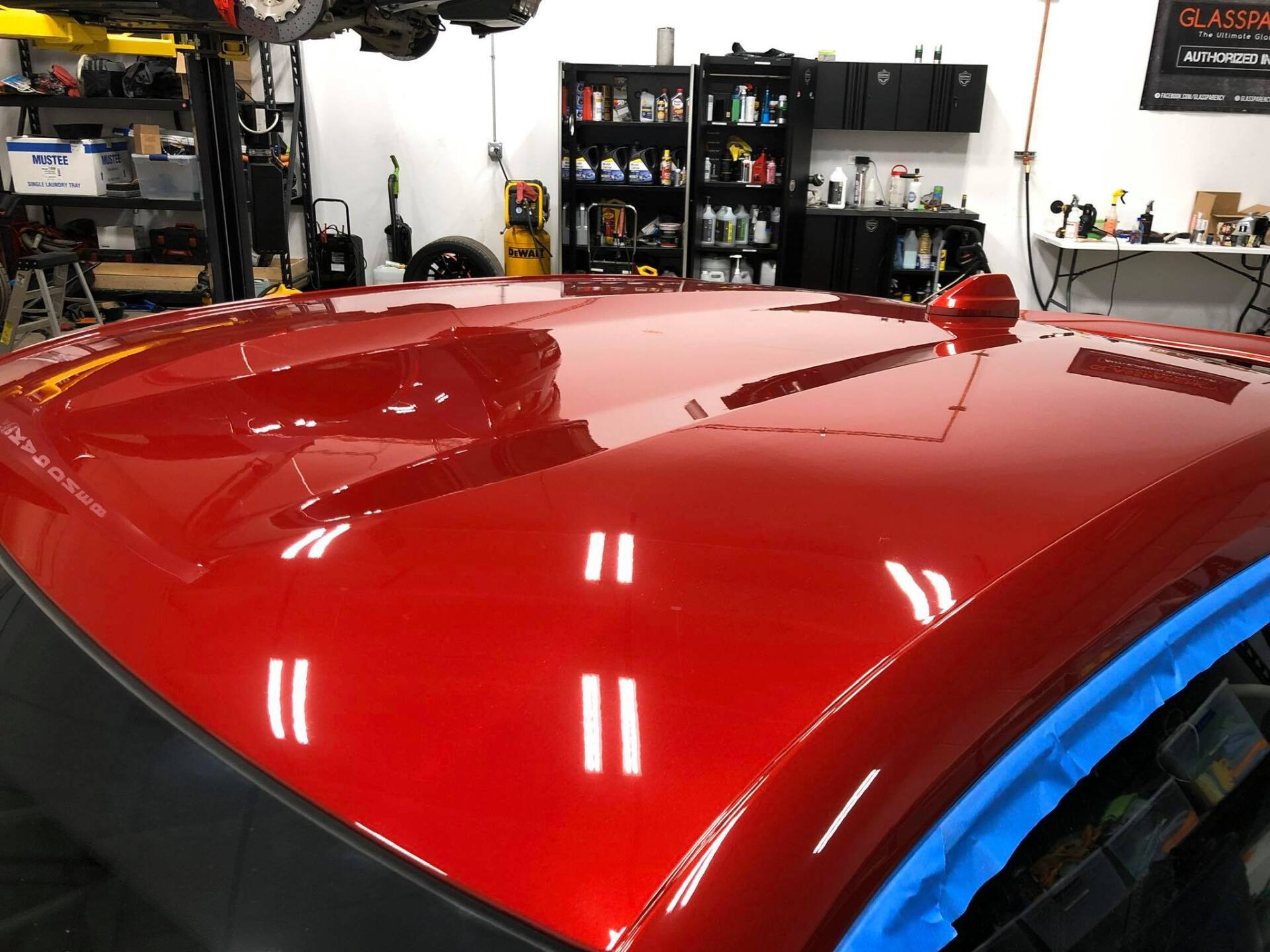 vehicle's paint