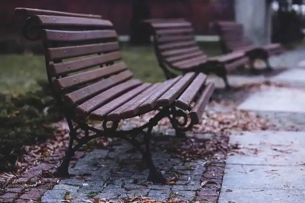 Empty wooden benches along a wet park path on a rainy day
