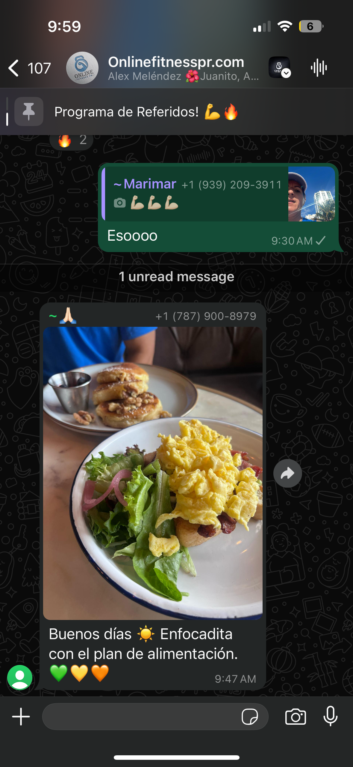 Chat screenshot showing a food photo: salad, eggs, and steak on a white plate with text overlay.
