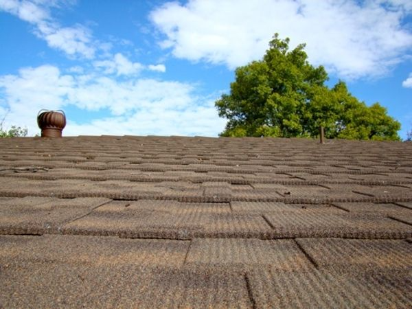 Brown shingle roof with a vent, blue sky, and green tree in the background.