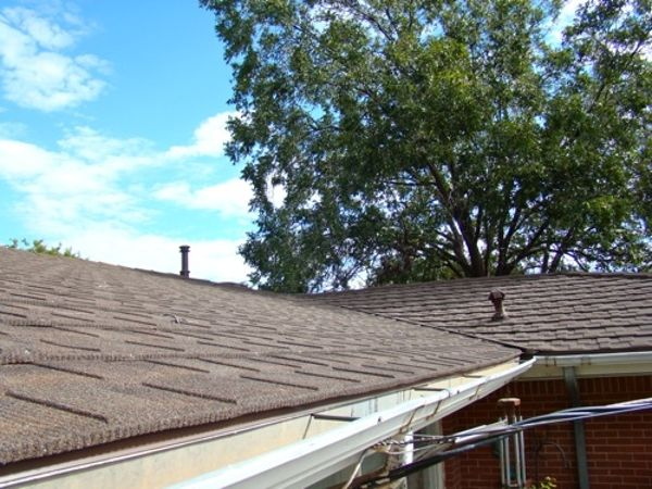 Roof of a house with brown shingles, gutters, and a tree against a blue sky.