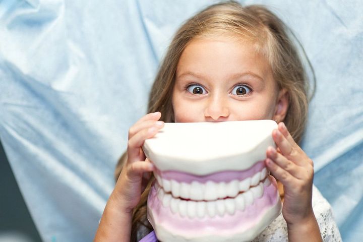 Una bambina tiene un modello di denti davanti al viso.