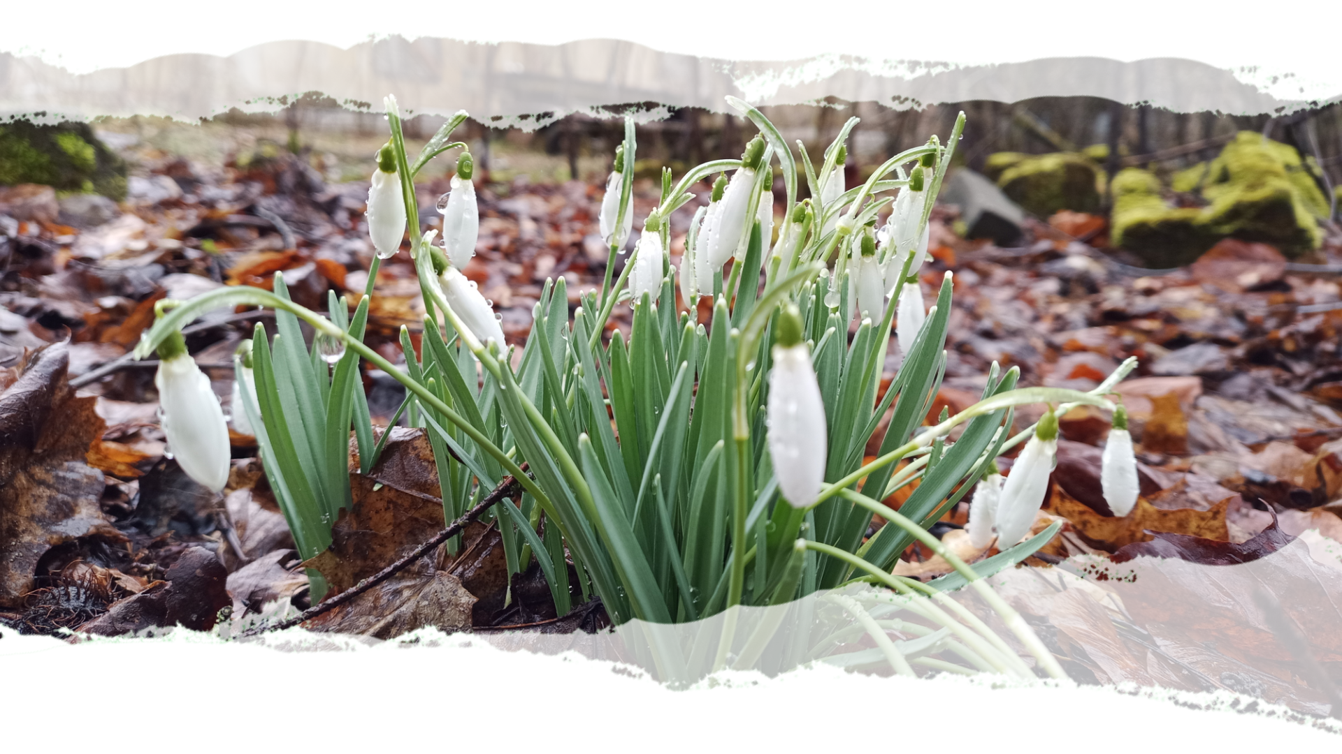 Abschluss Ausbildung Naturcoach