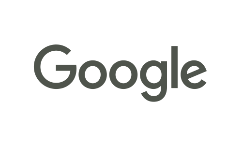 The google logo is gray and white on a white background.