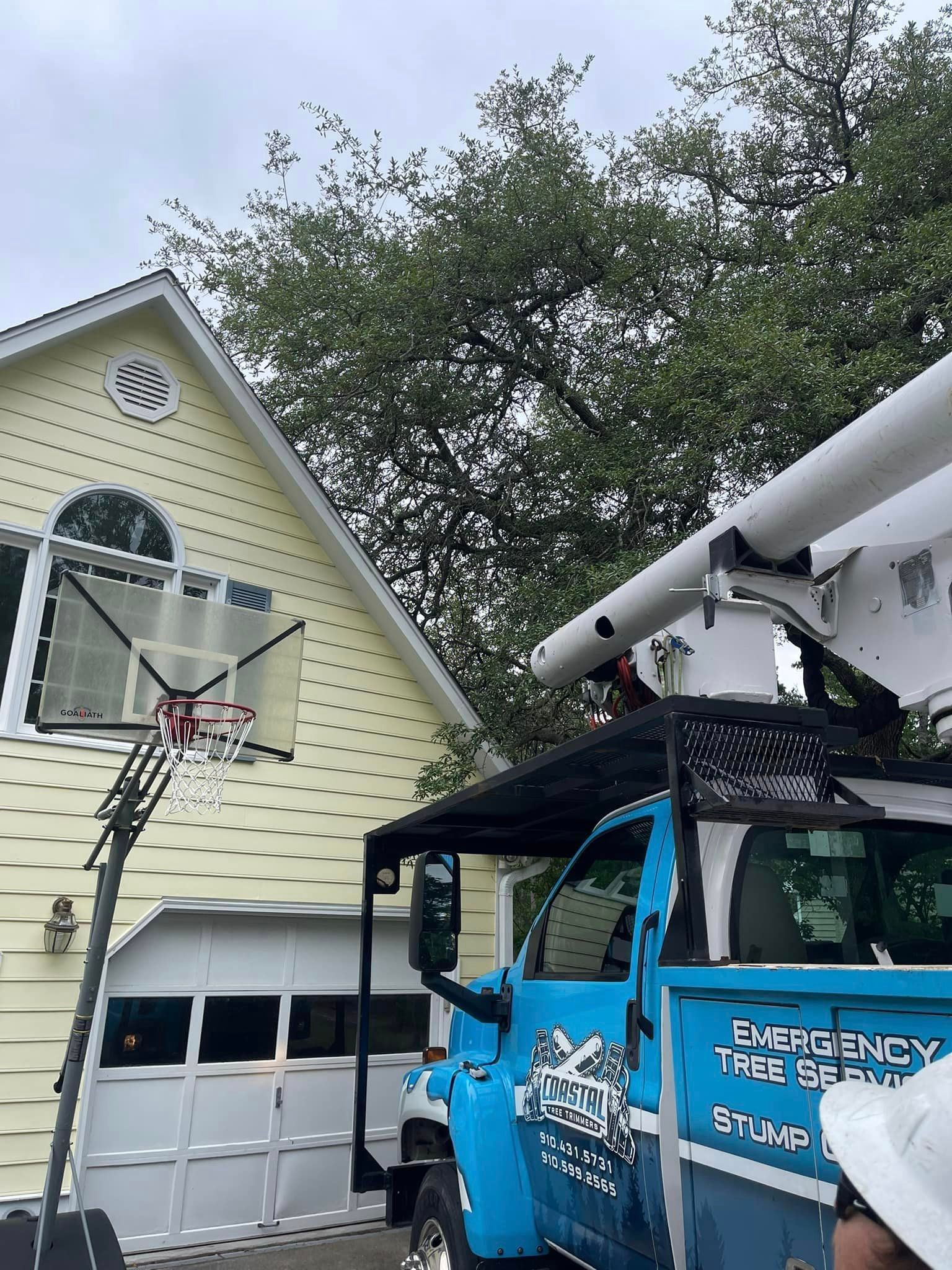 Coastal Tree Trimmers, emergency tree services, 24 hour tree service, emergency service for downed trees, top emergency tree service wilmington