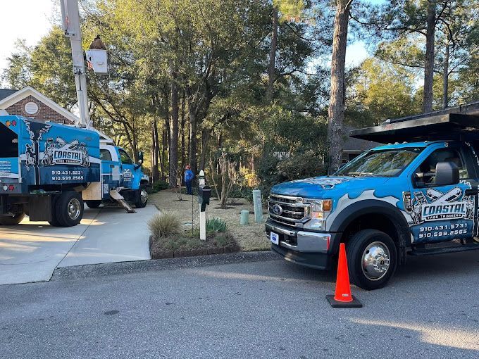 Coastal Tree Trimmers, emergency tree services, tree trimming, tree pruning, trim my trees, best tree trimming company, trim trees wilmington
