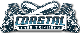 Coastal Tree Trimmers, emergency tree services, tree trimming, tree pruning, tree removal, stump grinding, land clearing, lot clearing, tree planting