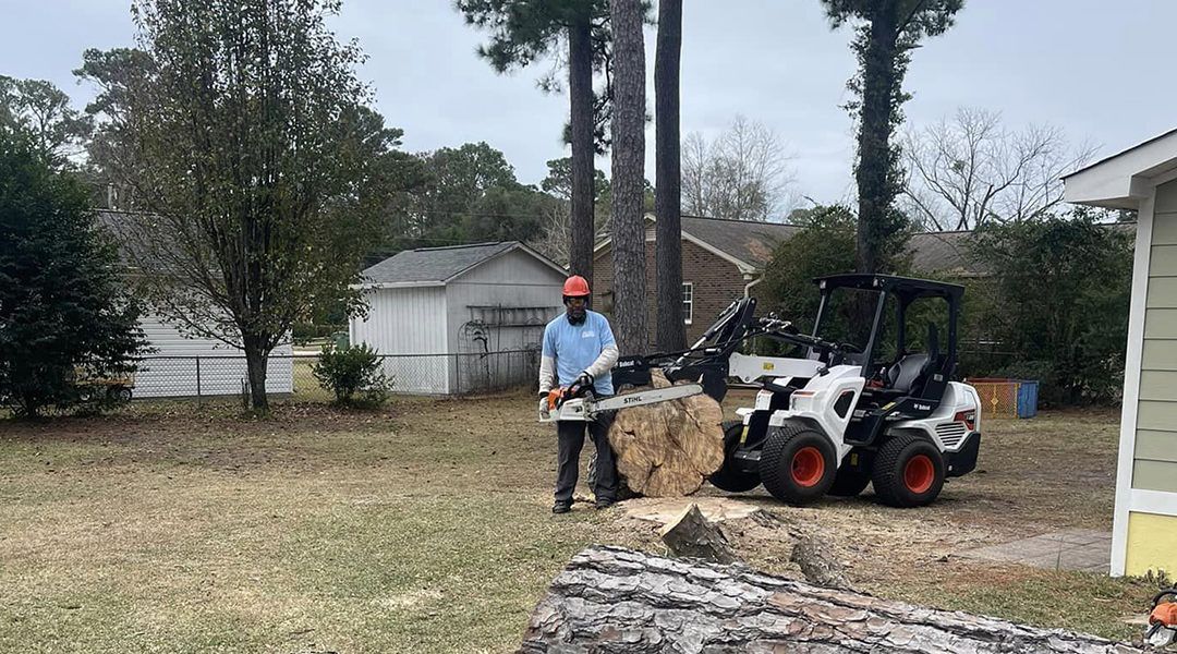 Coastal Tree Trimmers, emergency tree services, tree trimming, tree pruning, tree removal, stump grinding, land clearing, lot clearing, tree planting service