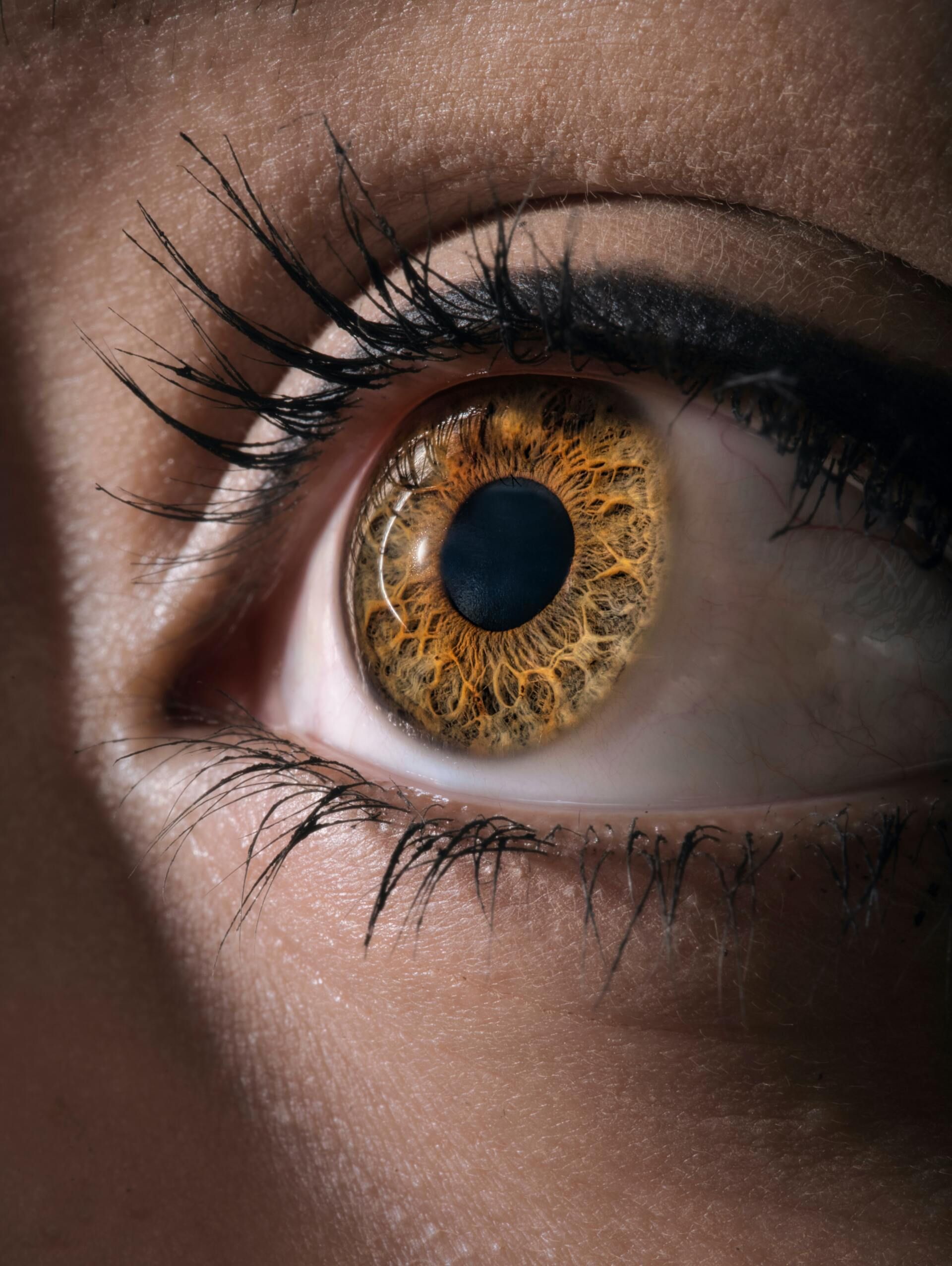 Jen Taylor Therapy — EMDR Therapy in Boulder CO Jen Taylor Therapy — EMDR Therapy in Boulder CO
