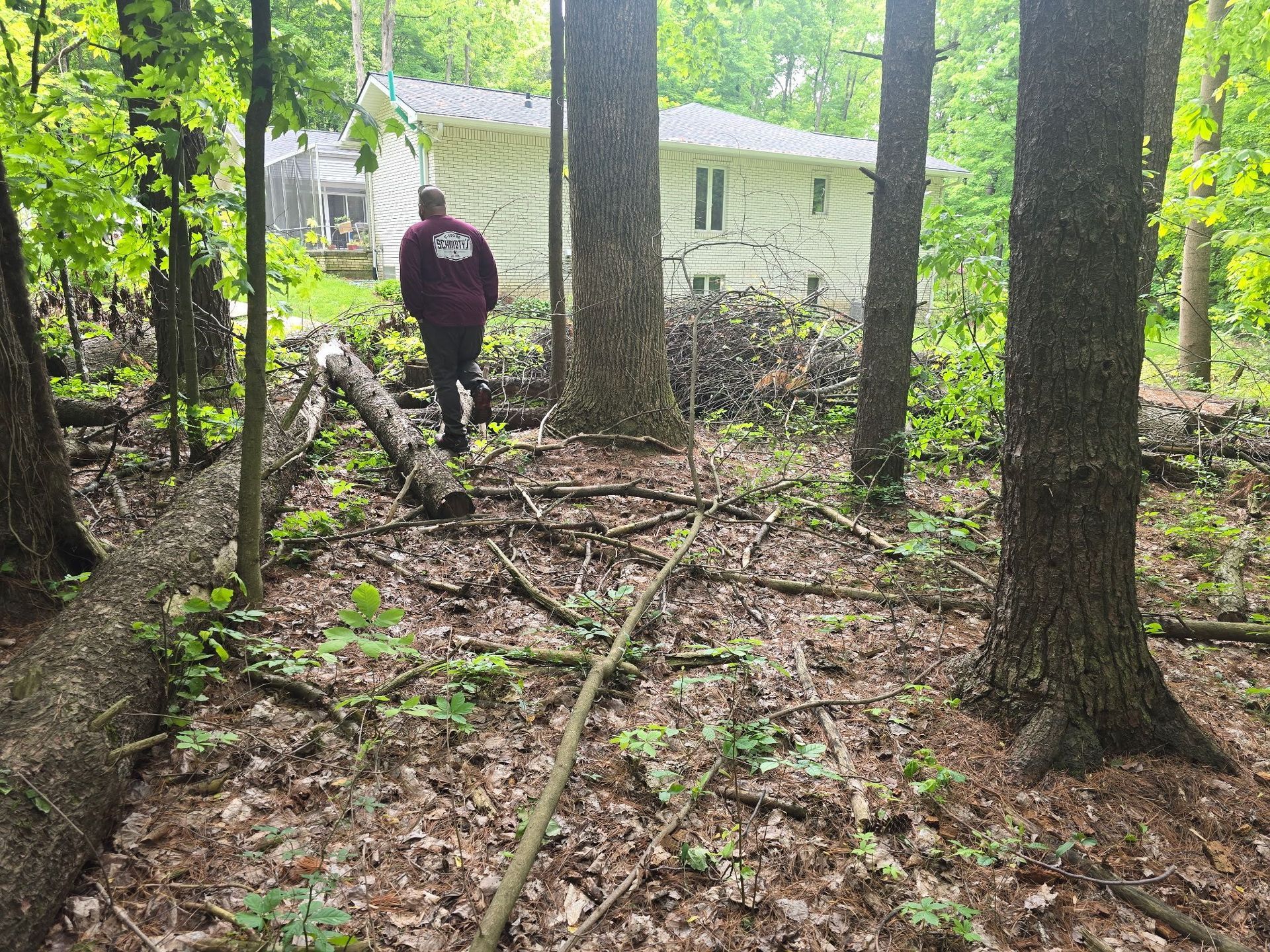 A person in a maroon shirt walks through a wooded area toward a white house in the background.