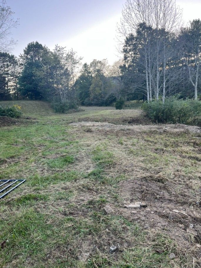 A grassy clearing with exposed earth, surrounded by trees. Overcast sky.