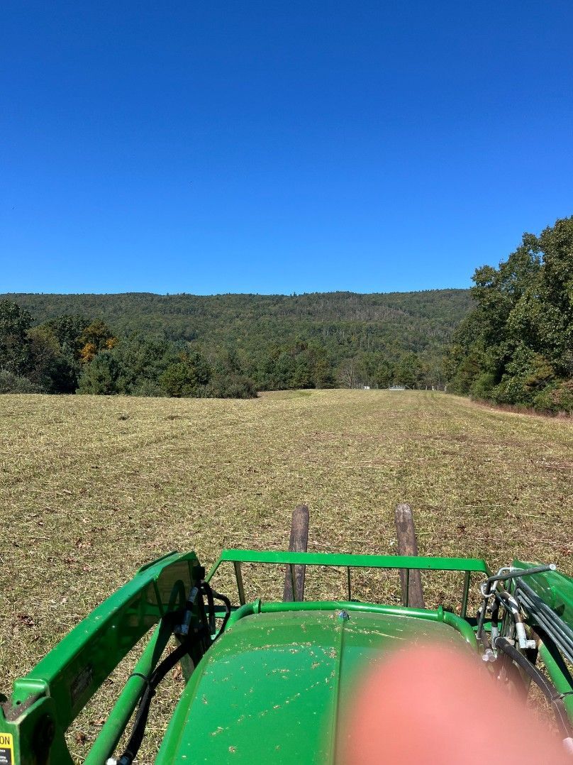Green tractor in a field, with a forest in the background under a blue sky.
