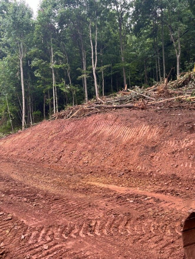 Red dirt hillside with felled trees, and a green tree background.