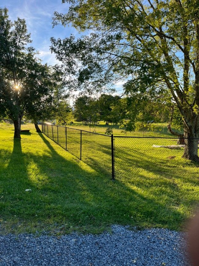 Lush green yard with chain link fence, trees, and sunlight casting shadows.