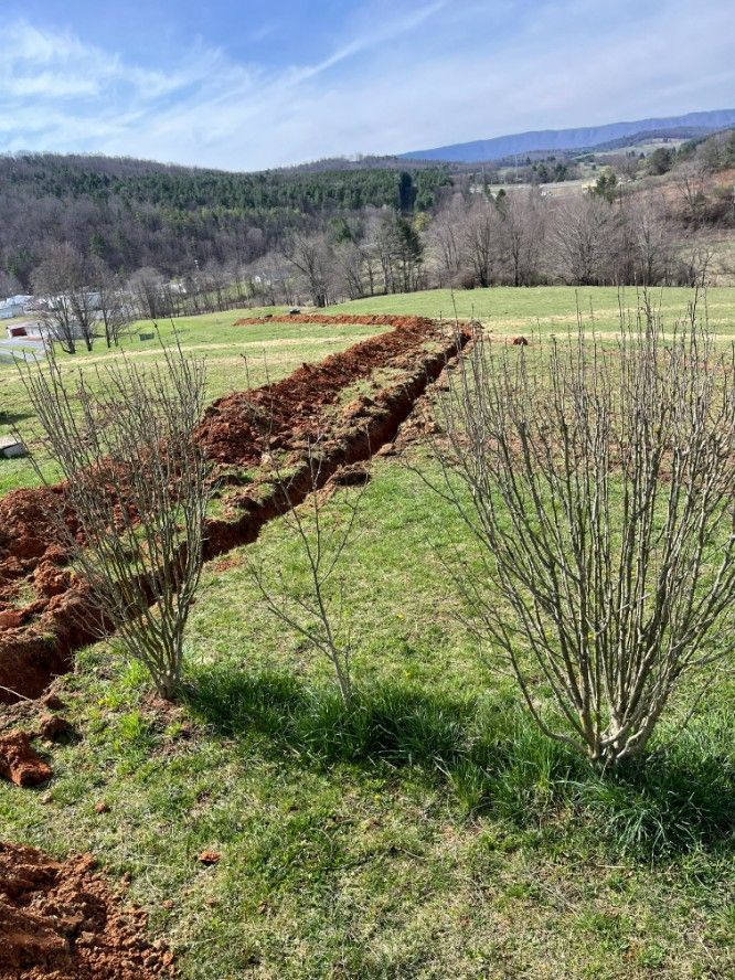 A long trench dug through a grassy field, with leafless bushes in the foreground and hills in the background.